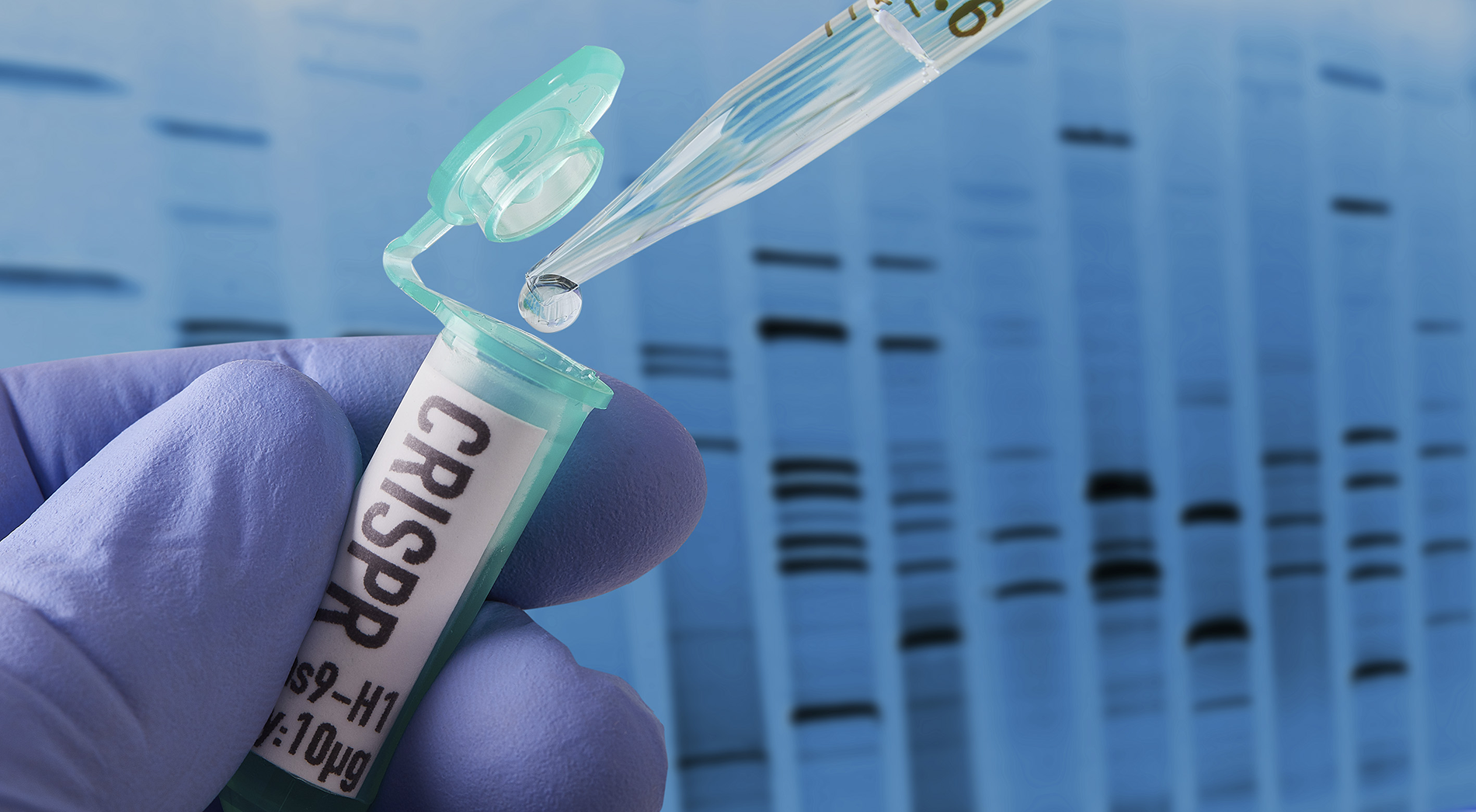 The Brexit boost for British bio-science