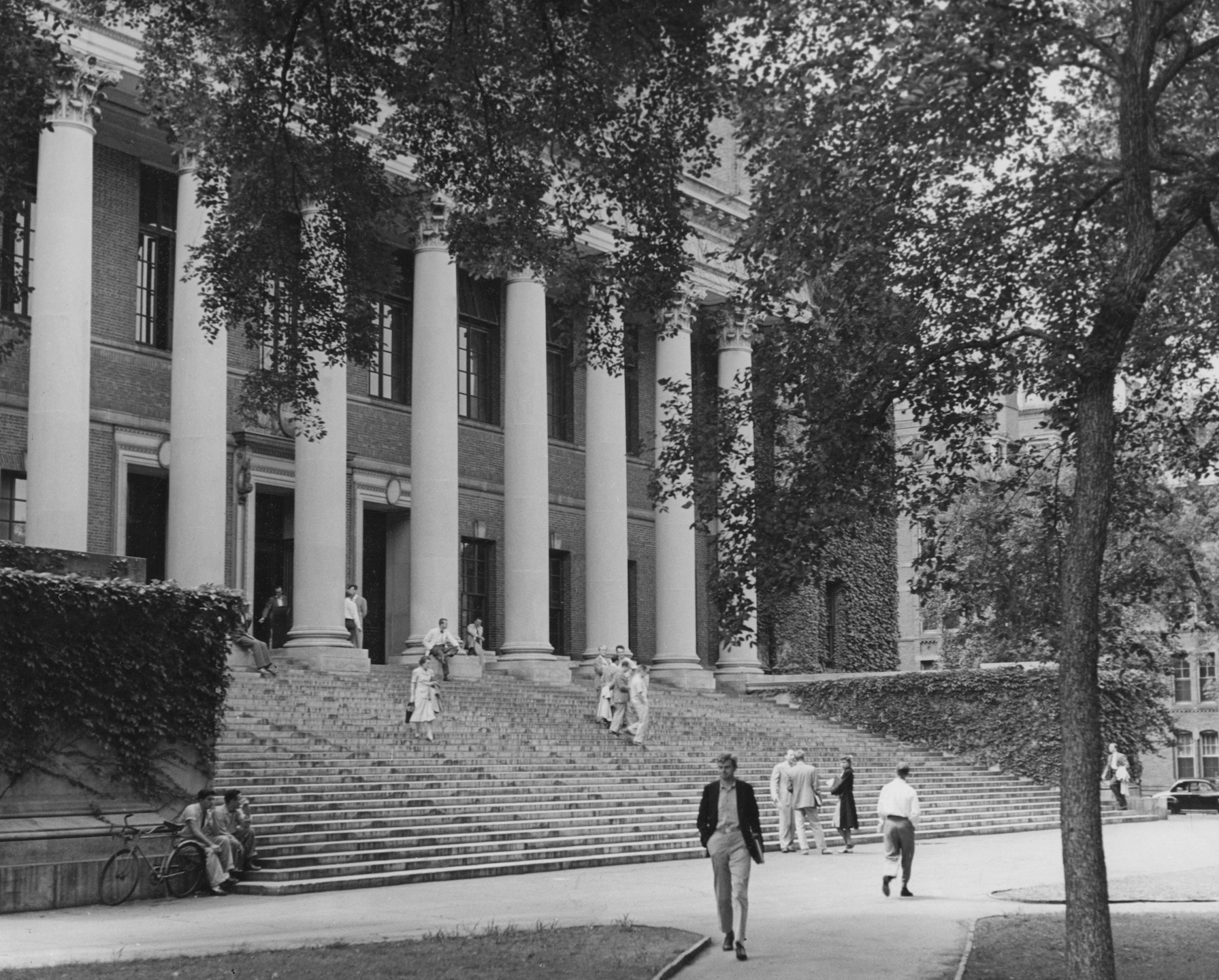 Poison Ivy League