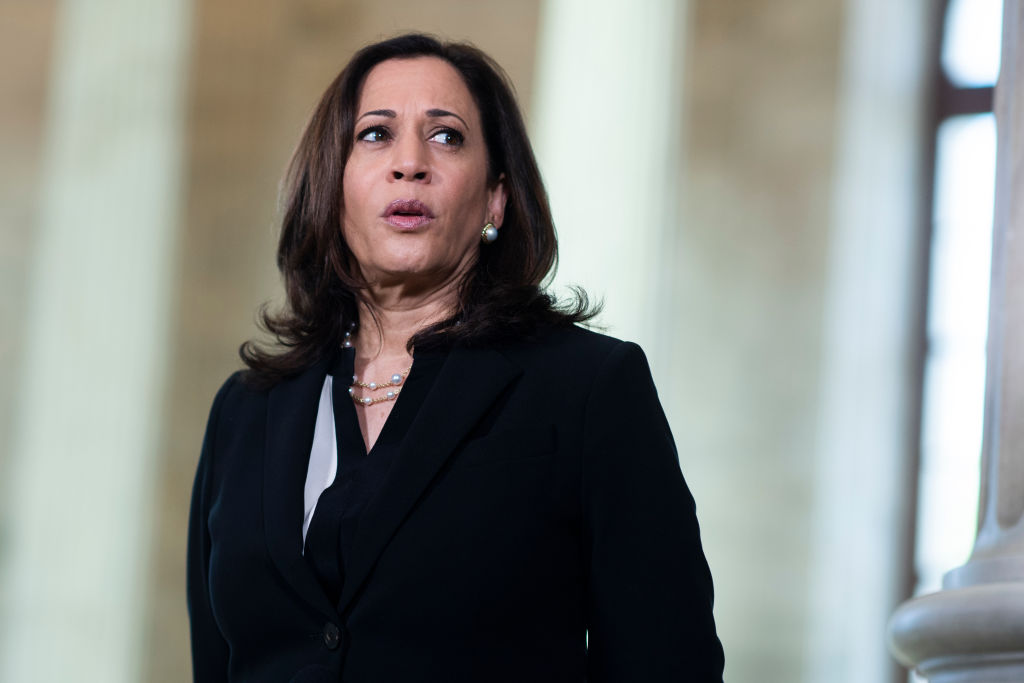 Biden&rsquo;s VP pick: safe choice or wise move?