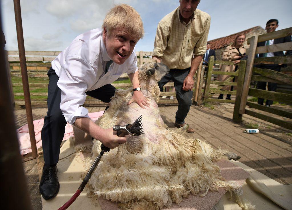 Sheep in wolf&rsquo;s clothing