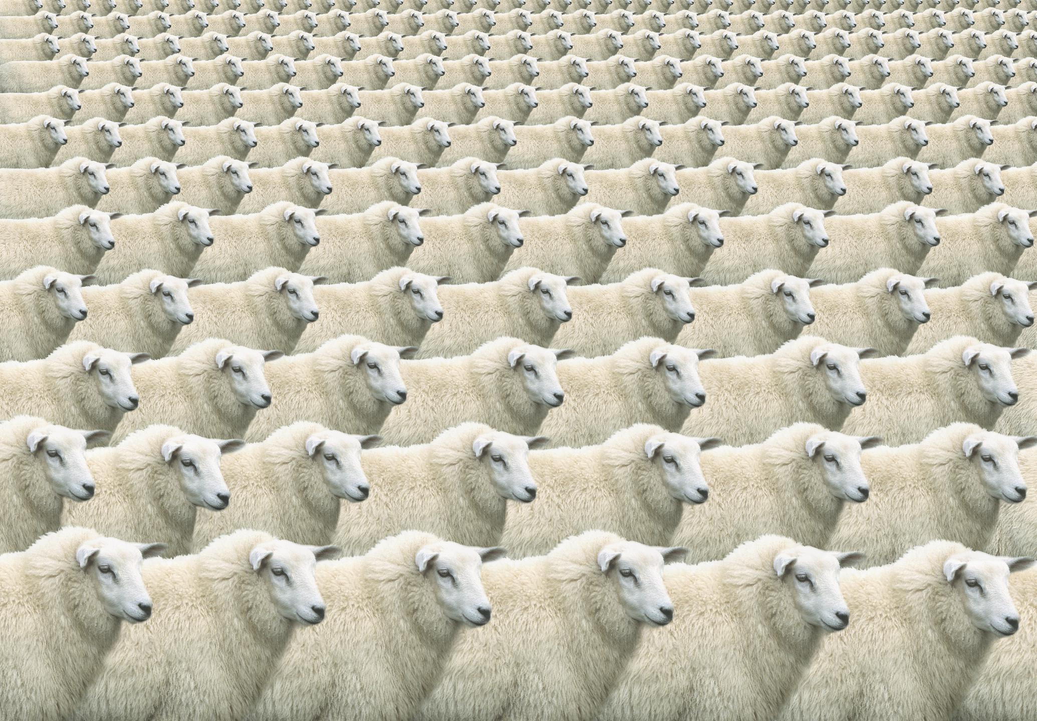 The arts are being crippled by conformity