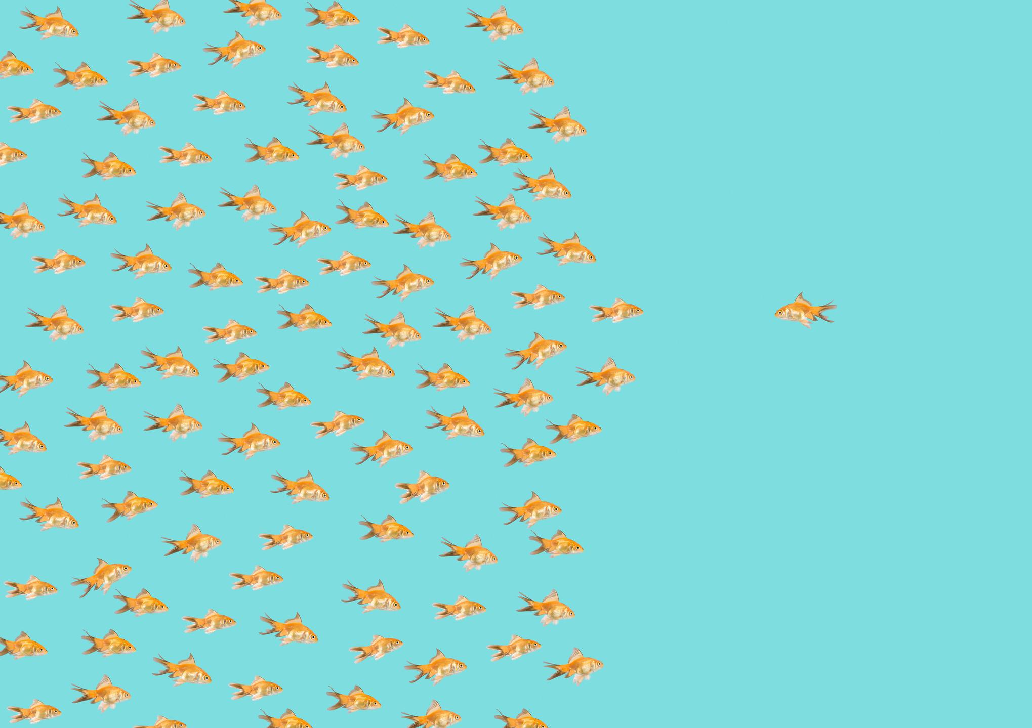 Tolerance? Intolerable!