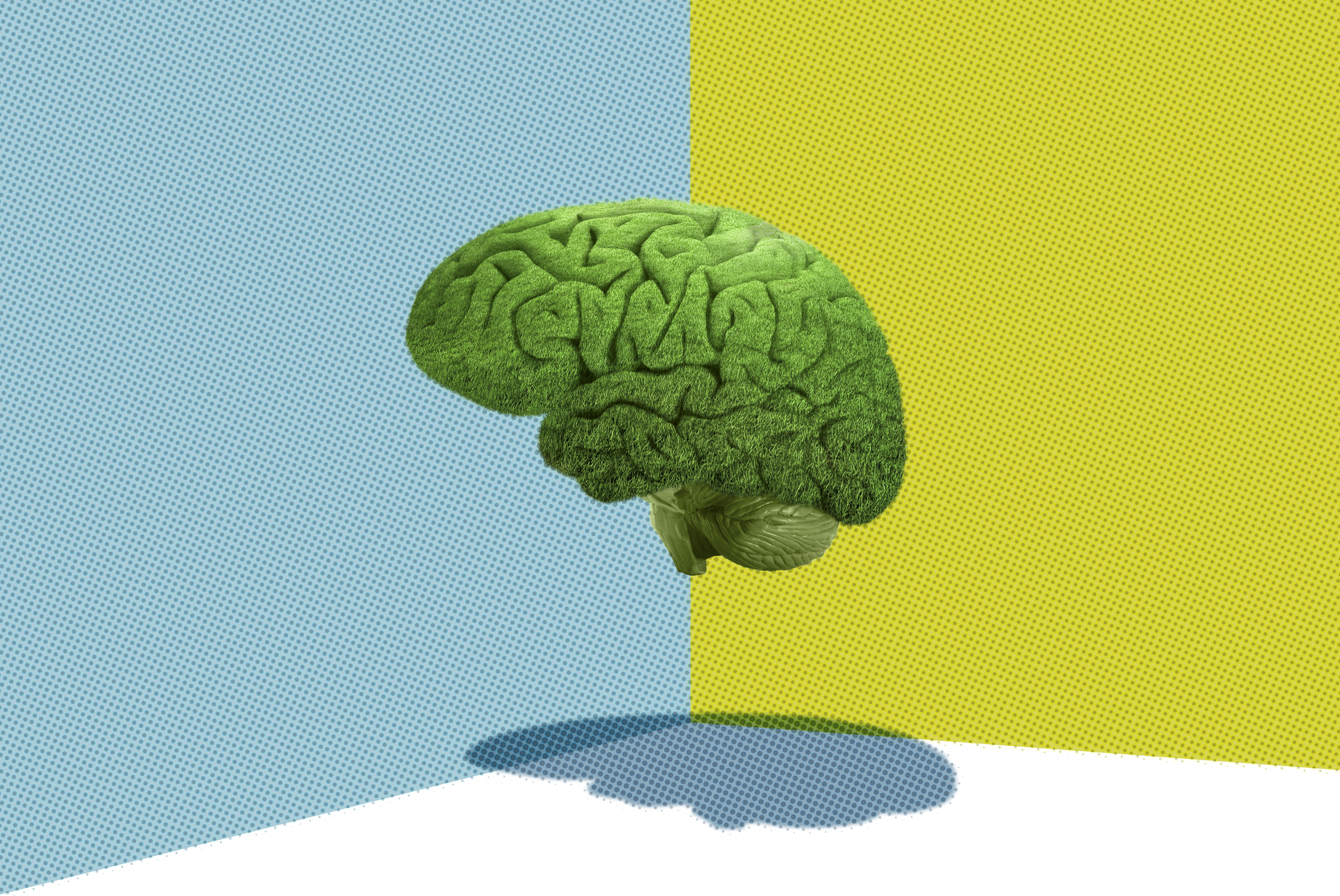 The dark psychology of Extinction Rebellion