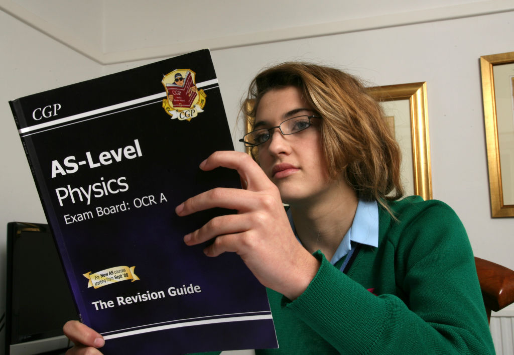 Is there a future for GCSEs and A levels?