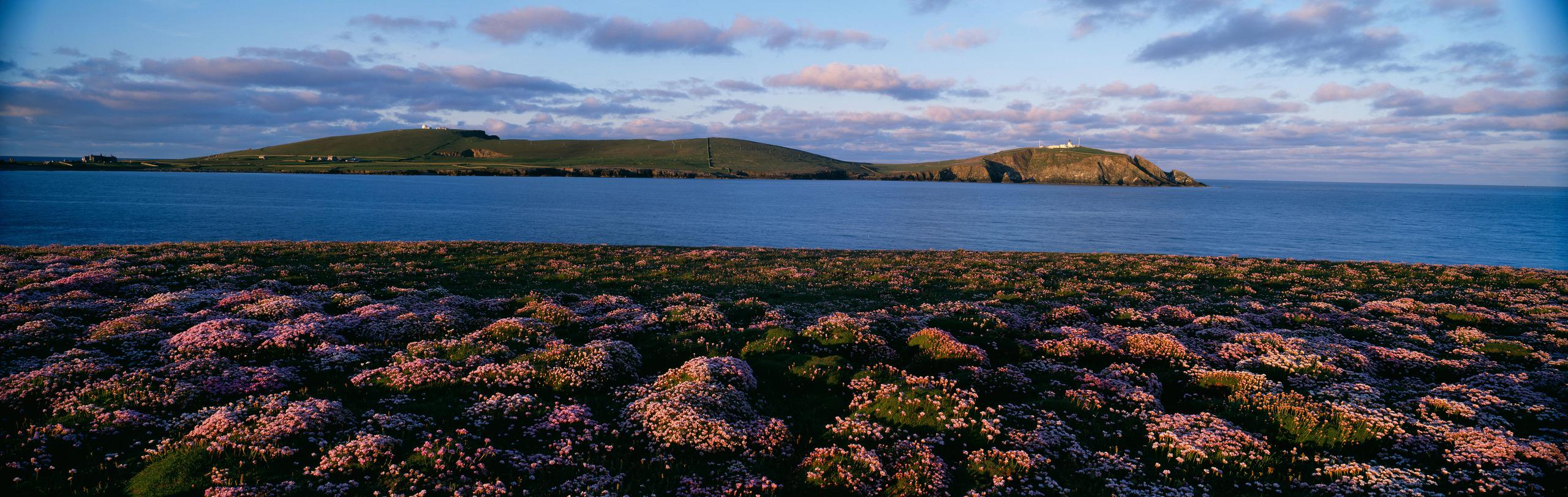 Northerly winds of change