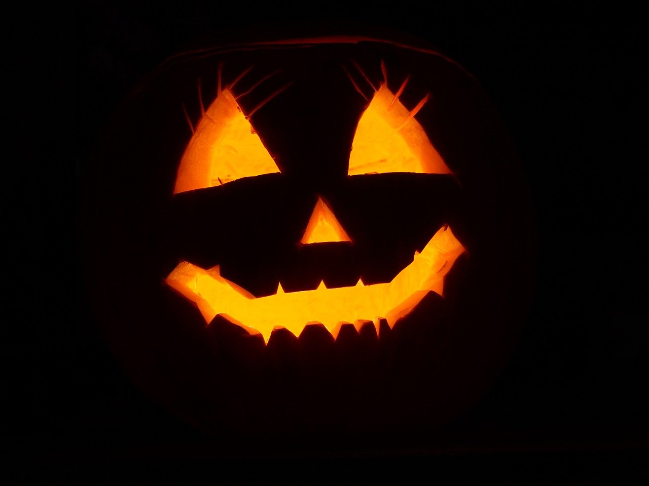 Trick nor Treat: the hounding of Halloween
