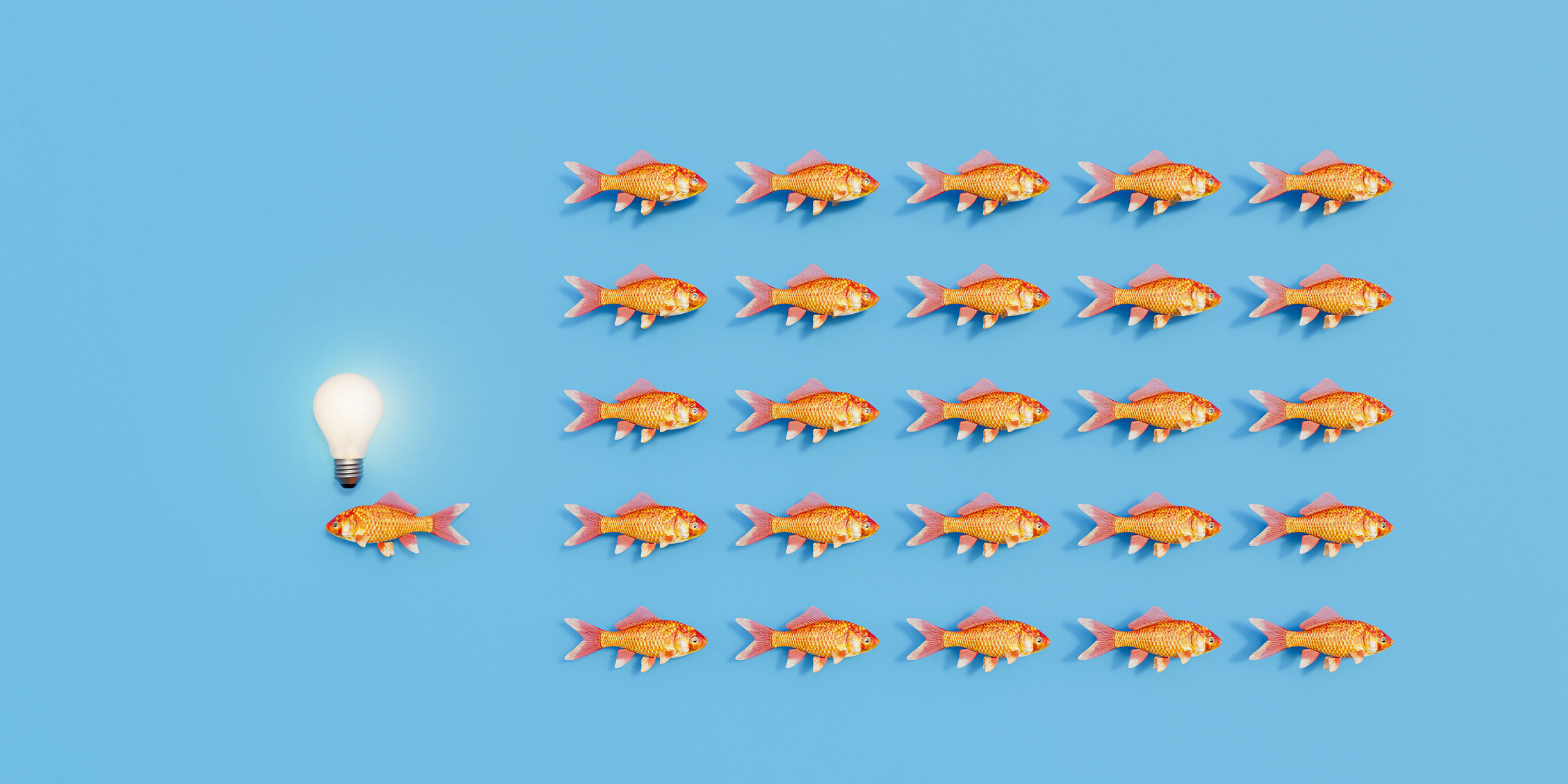 In a woke world, be a Contrarian