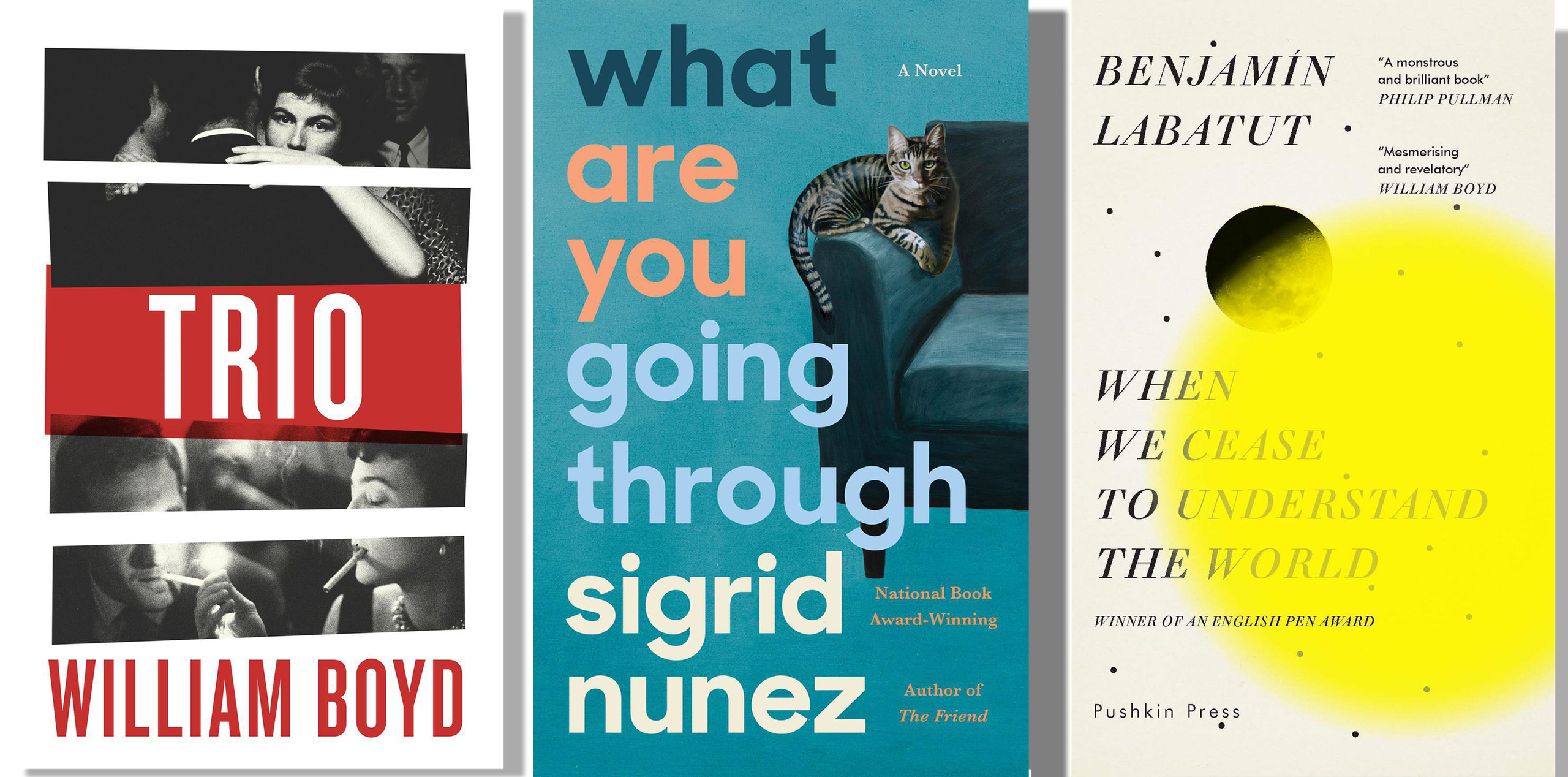 Catnip for culture lovers