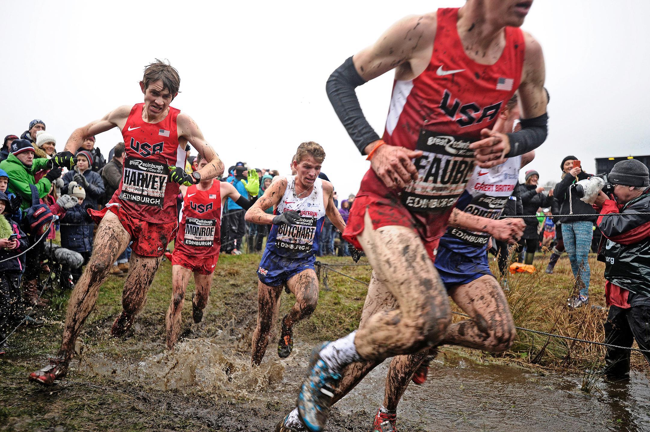 Glorious mud