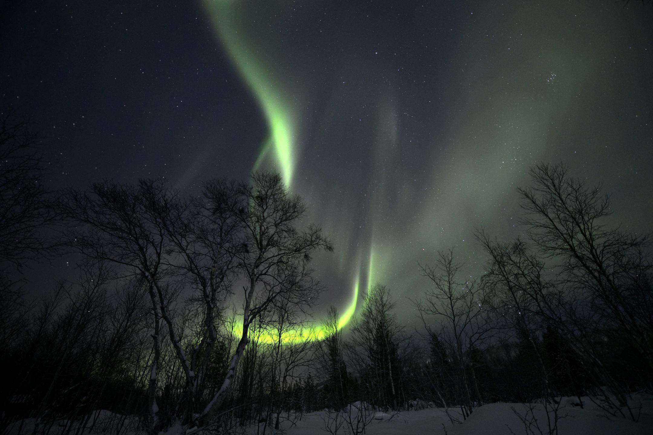 光之媚舞 - 罗弗敦群岛上空的北极光，挪威 (© arnaudbertrande/Getty Images) | 必应每日高清壁纸 - 精彩 ...