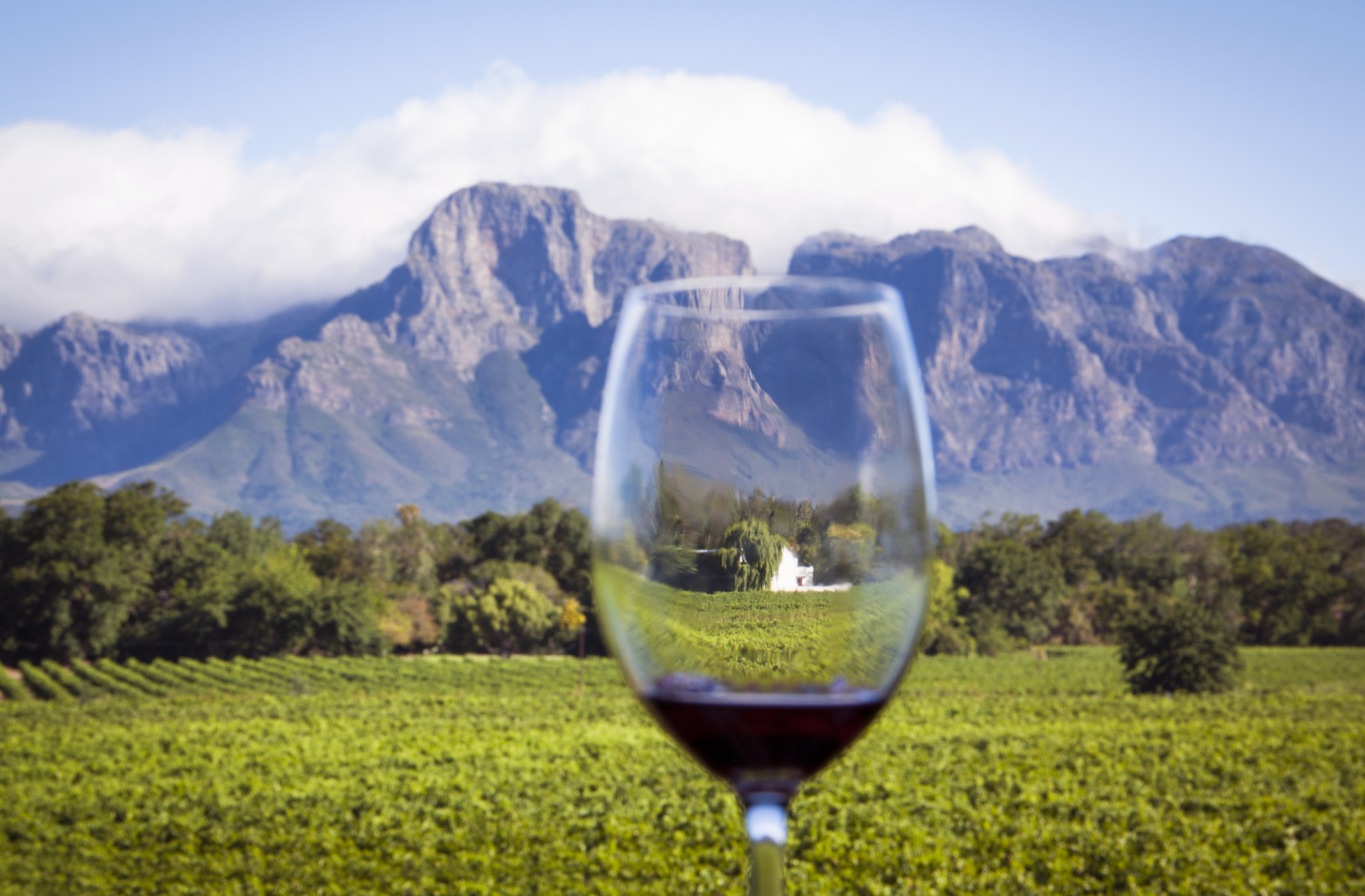 Drink In to Help Out: Wines from the Western Cape