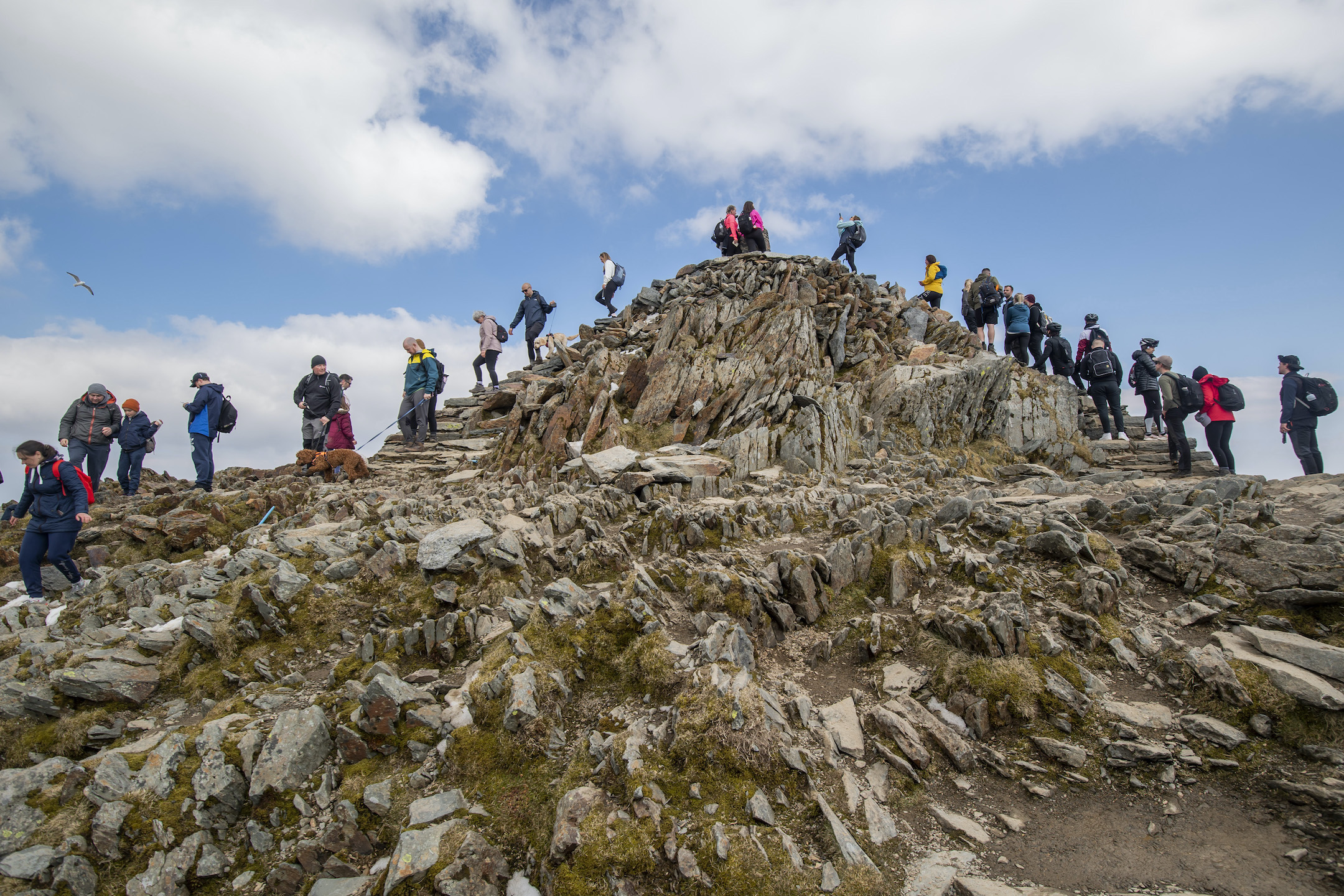 Snowdon: A modest proposal