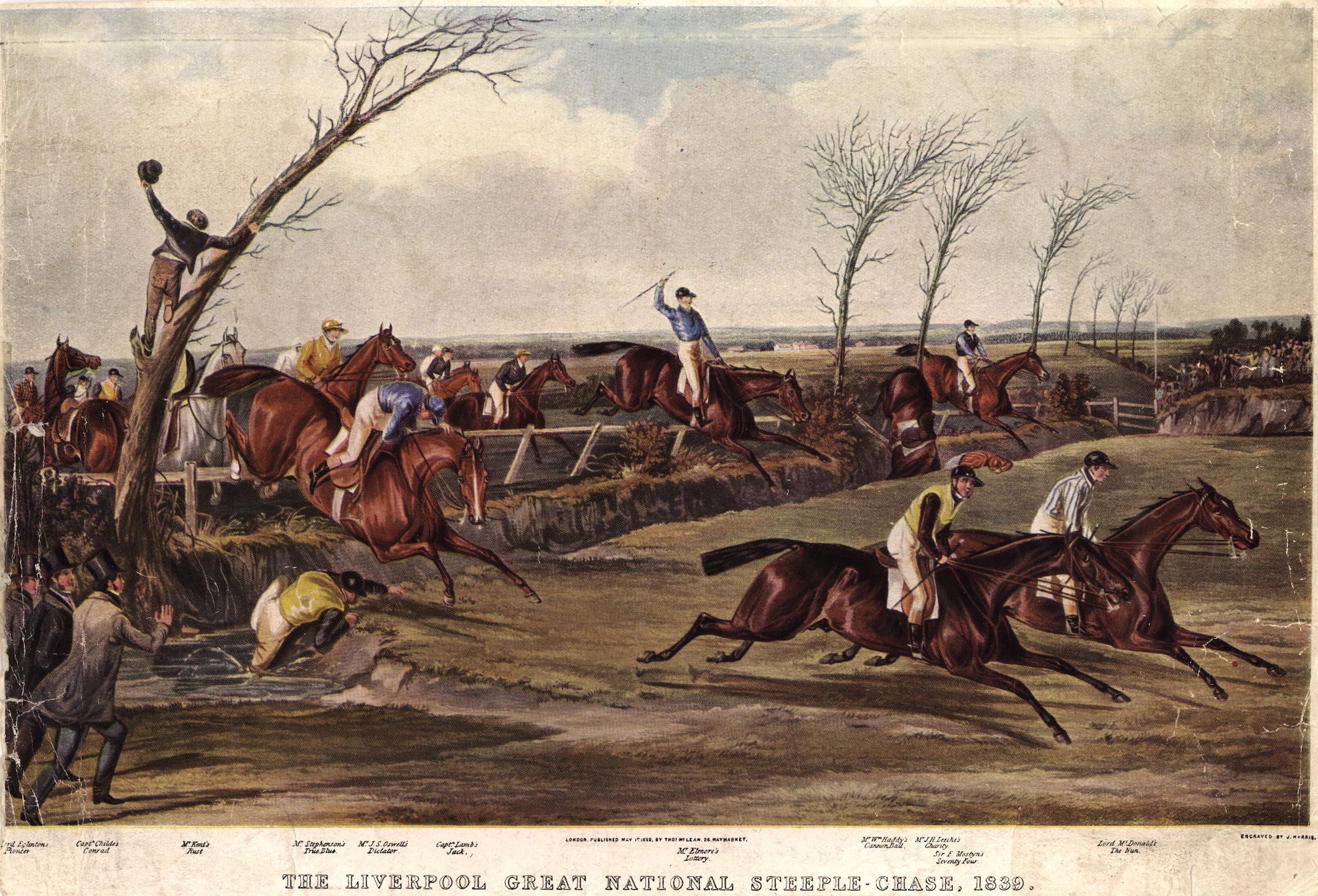 The Sport of Kings