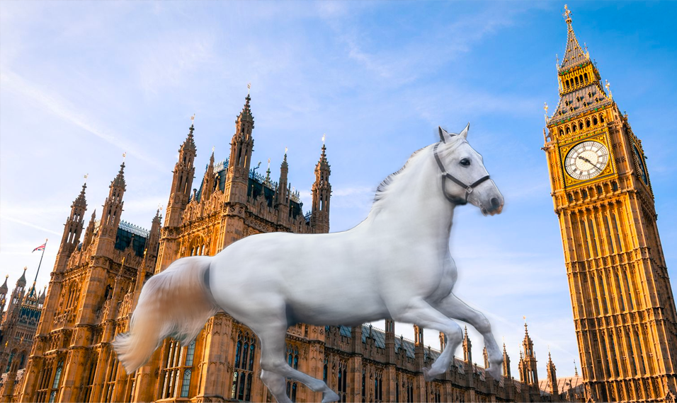Should I buy a horse?