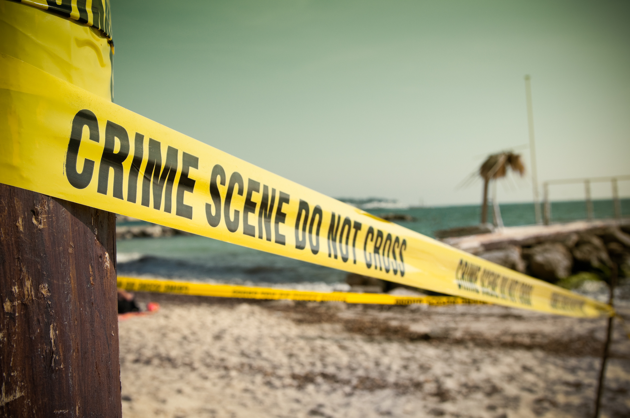Murders for the summer holidays
