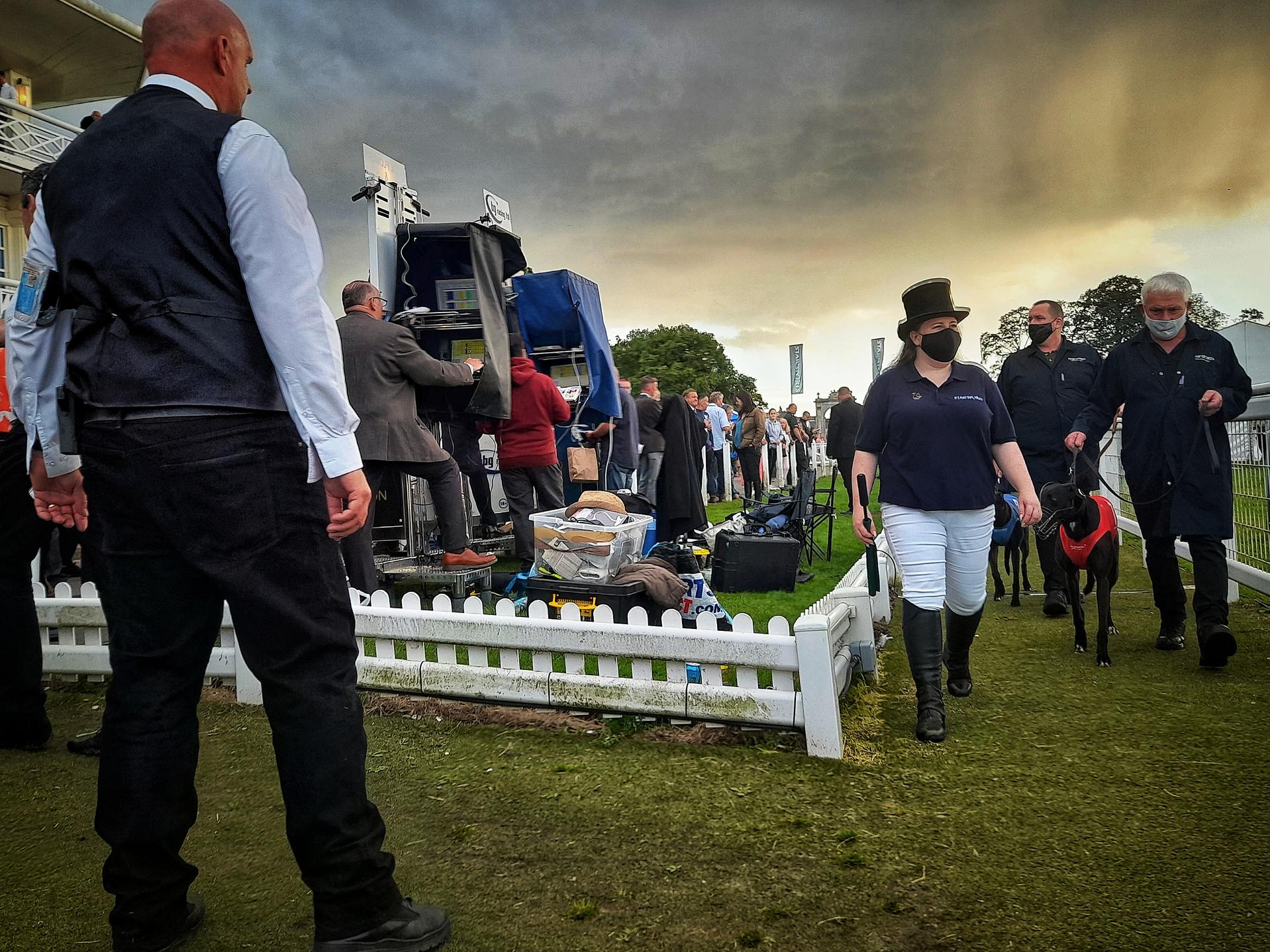 Gone to the dogs