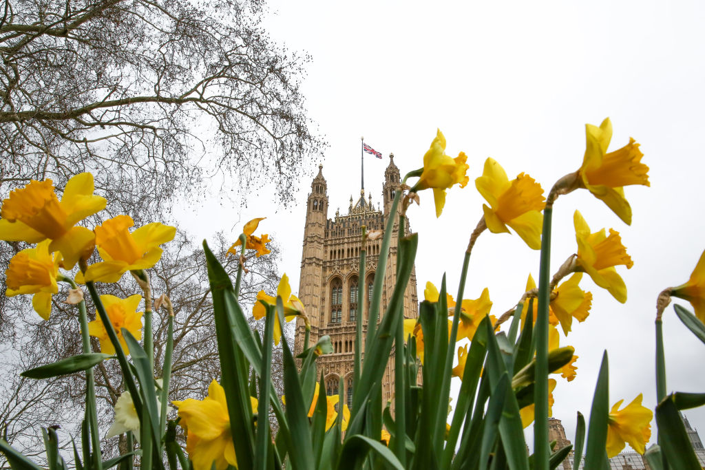 The Victoria Tower Gardens plot