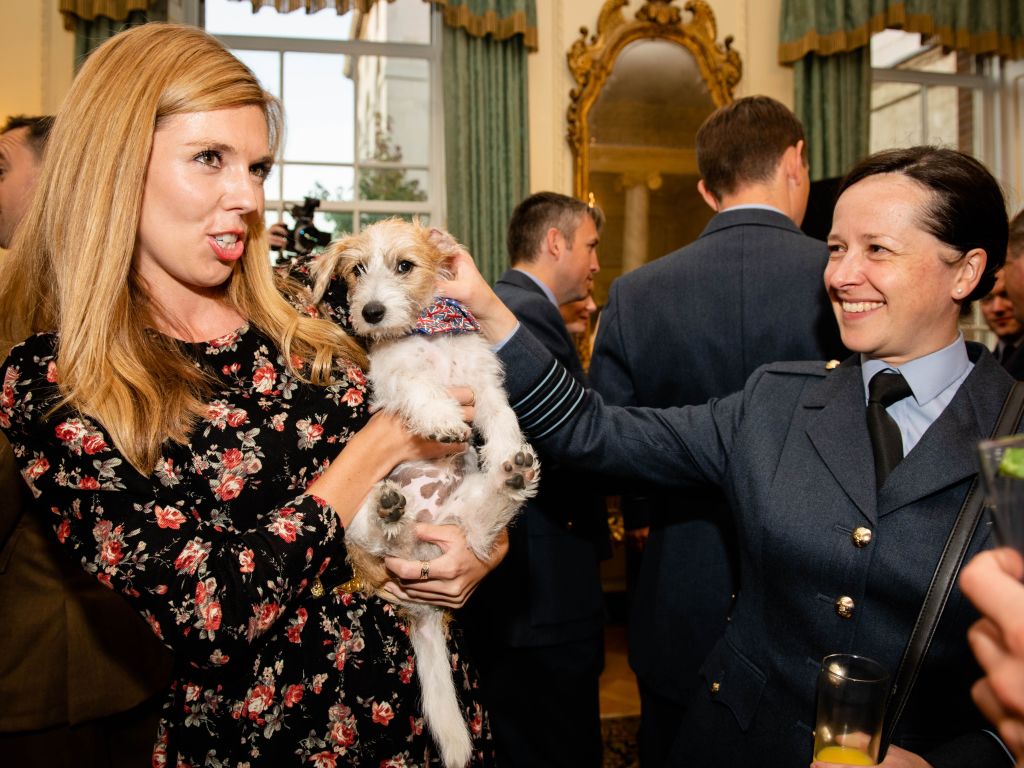 Carrie&rsquo;s dog whistle