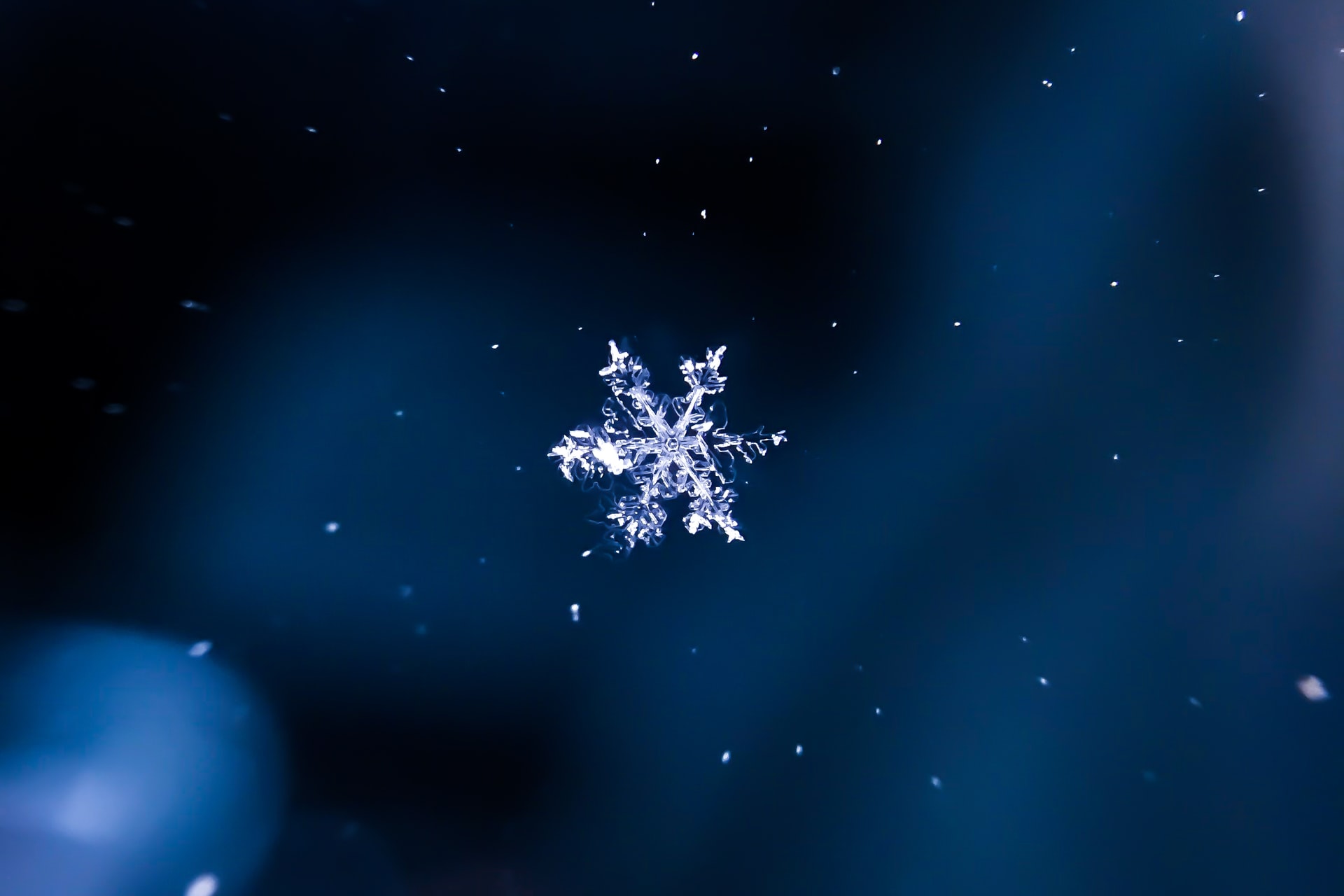 Being a snowflake is bad for your mental health
