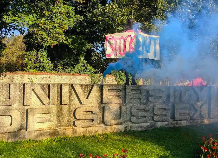 Is transphobia an academic critique?