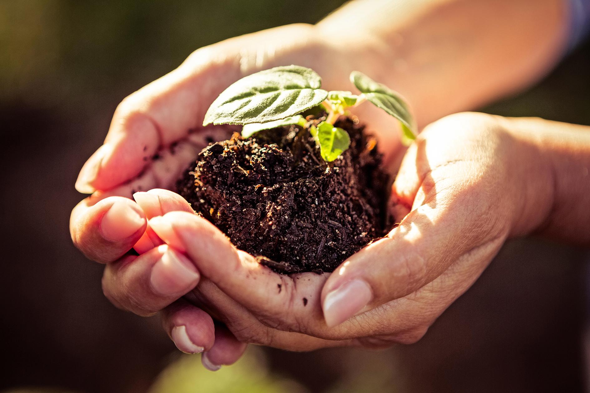 Personal growth