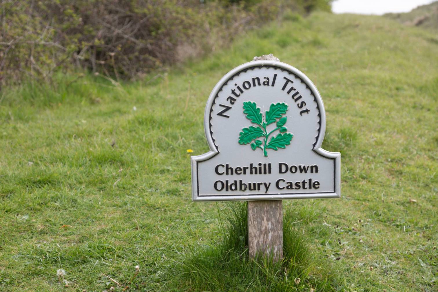 A year in review: the National Trust