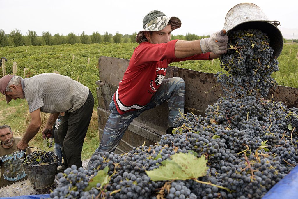 The birthplace of wine