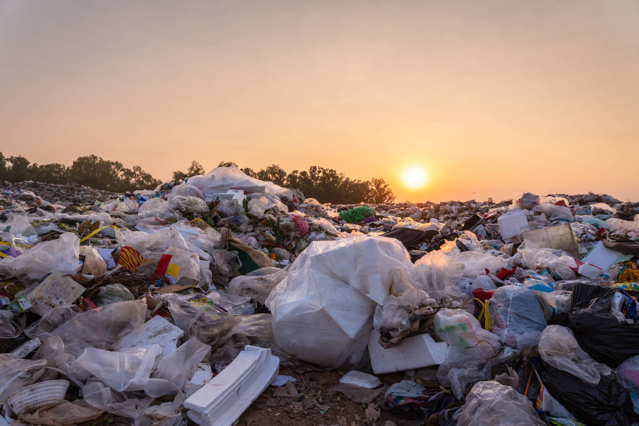 Our throwaway society