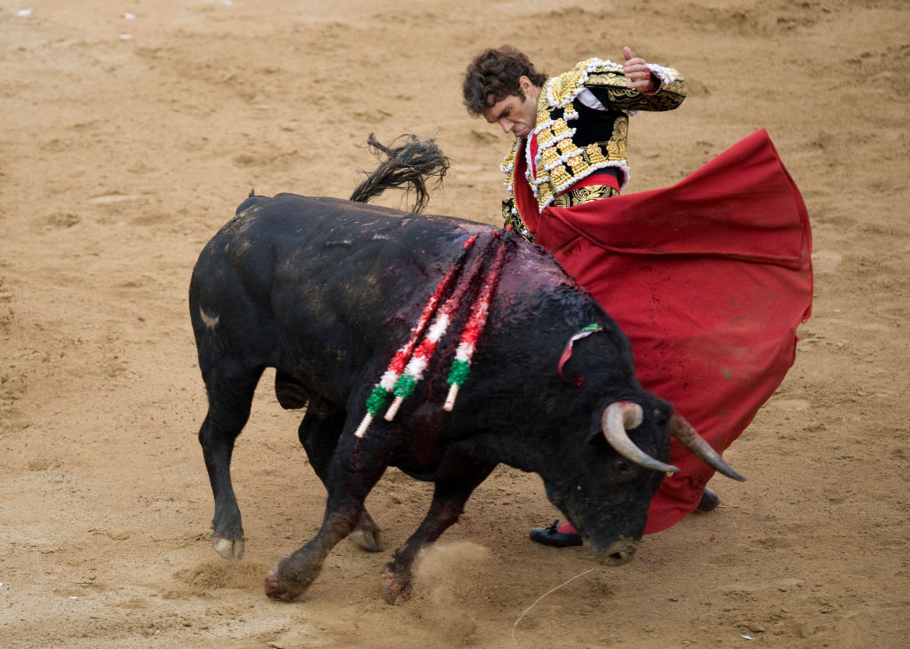 Bull market