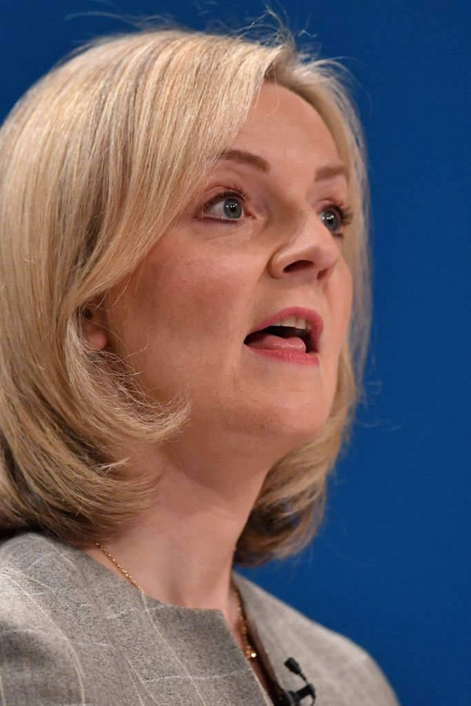 In praise of stupid politicians