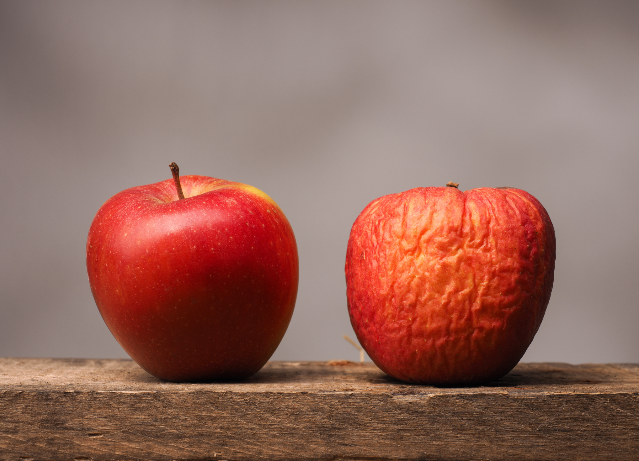 Fruits of sex