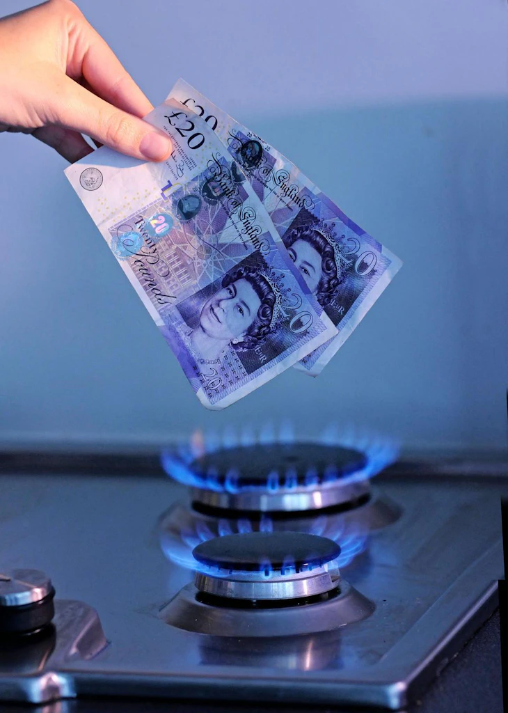 An overdone “emergency” | Tim Congdon | The Critic Magazine