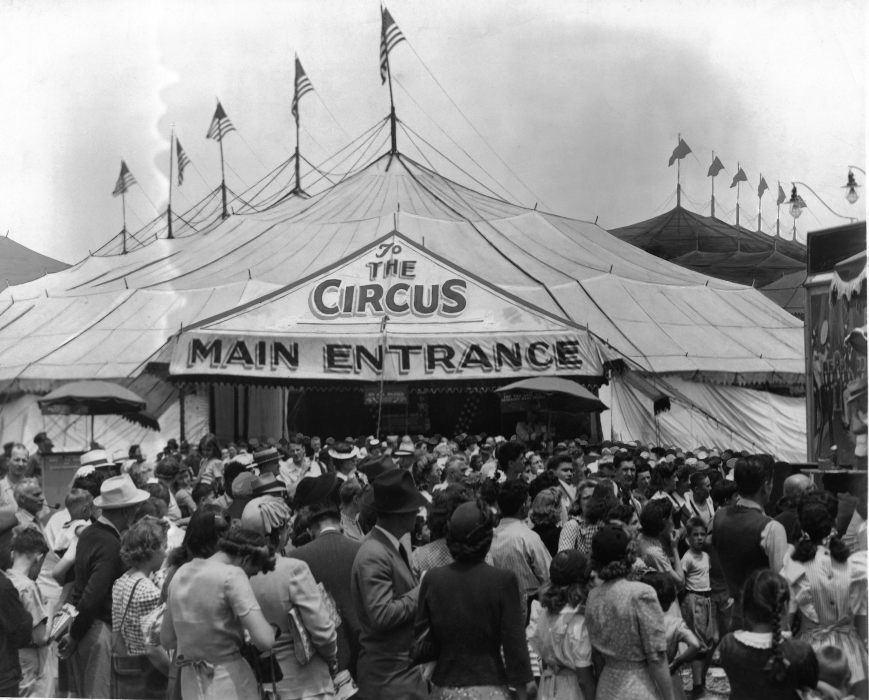 Oh! What a circus