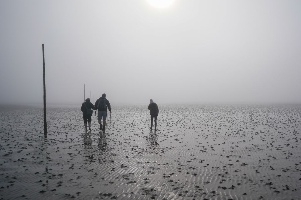 lapkričio žmogžudystės |  Jeremy Black