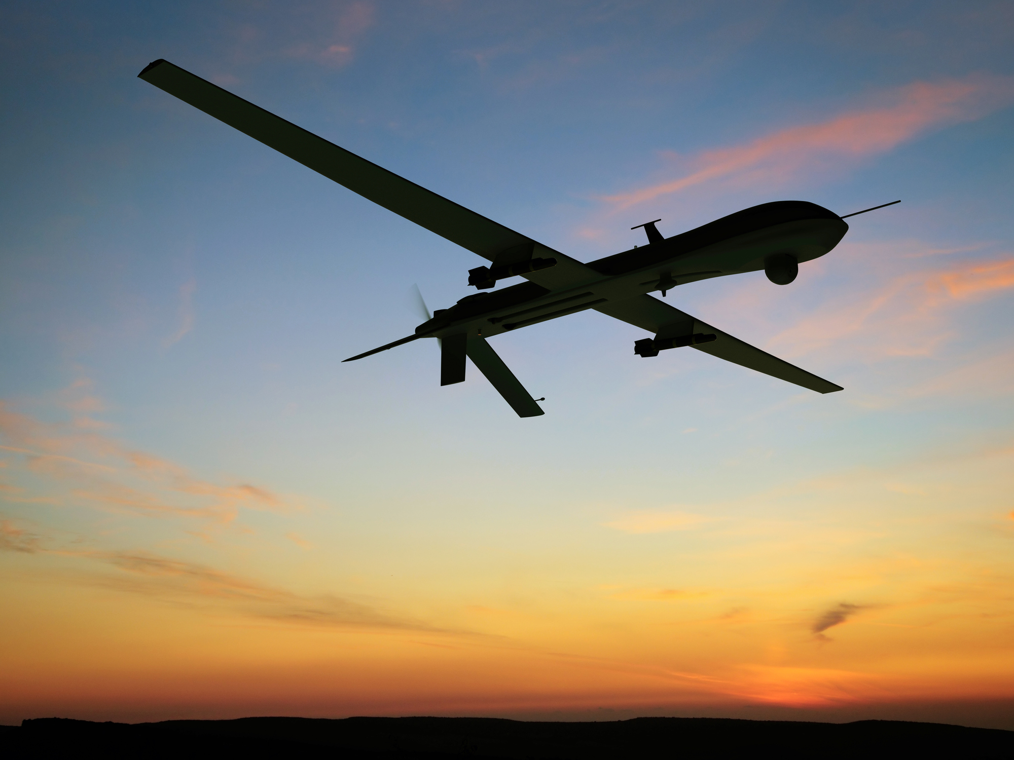Year of the drone
