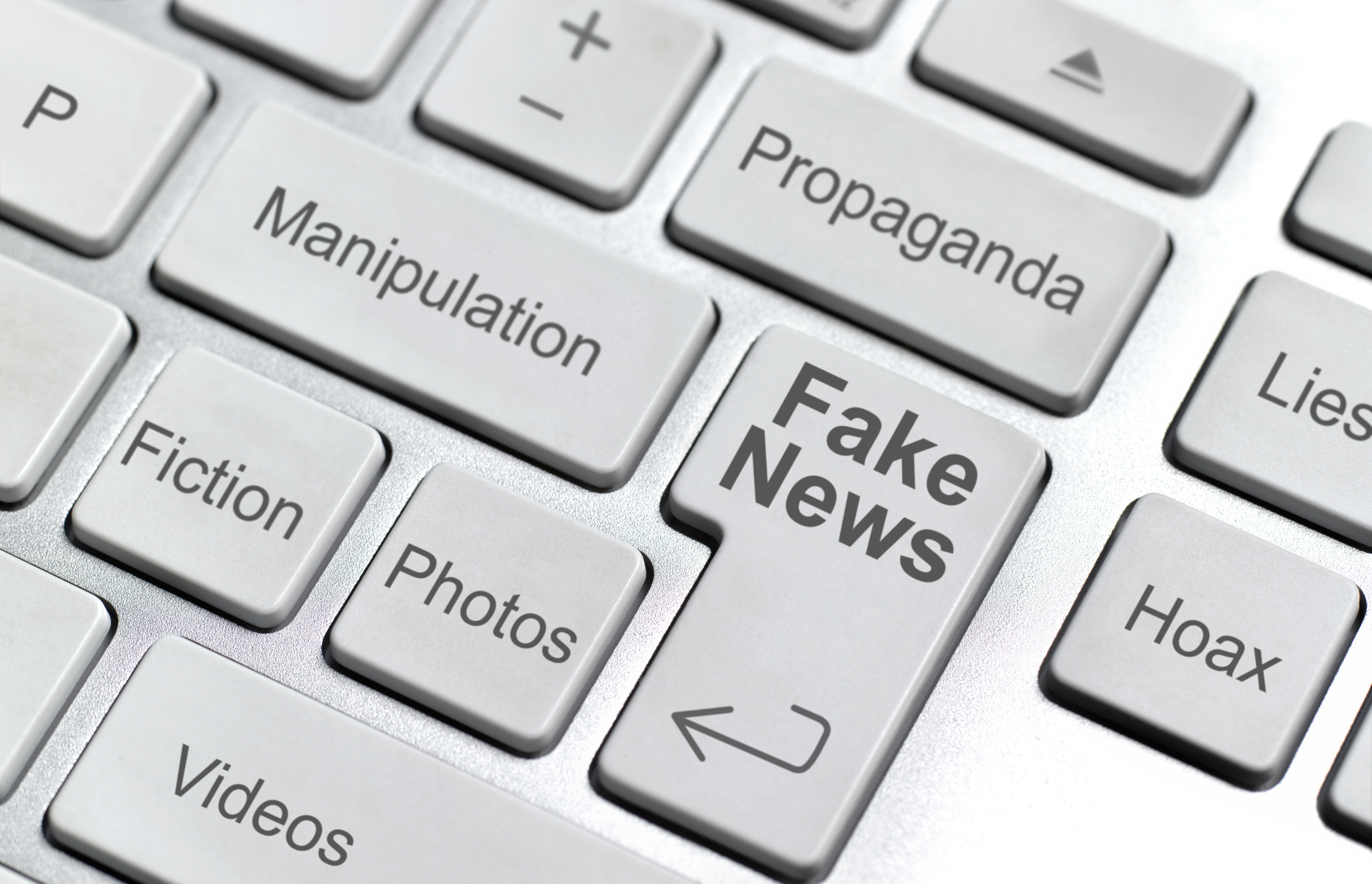 Abolish the disinformation reporter