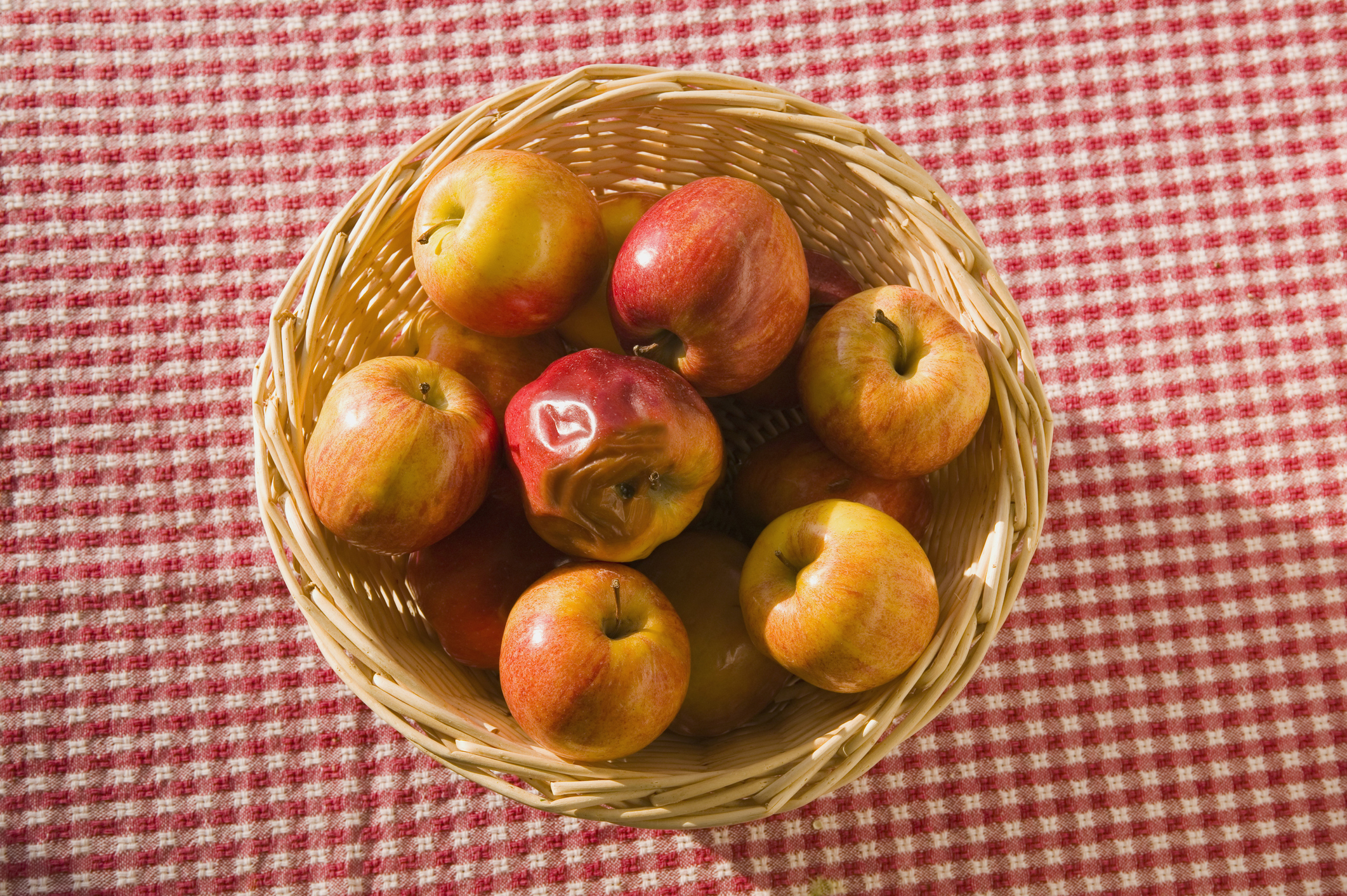 Урожай яблок. Яблоня мартовское. Угощения из яблок. Лукошко яблок. Осенние яблоки.