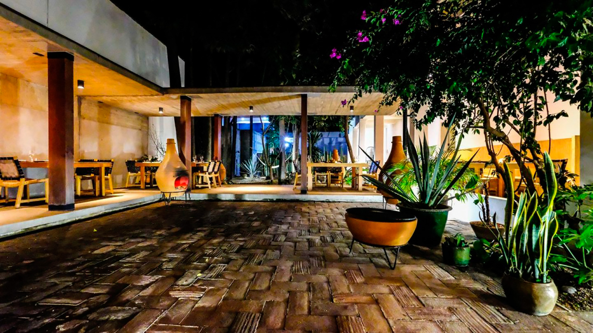 Witless in Oaxaca