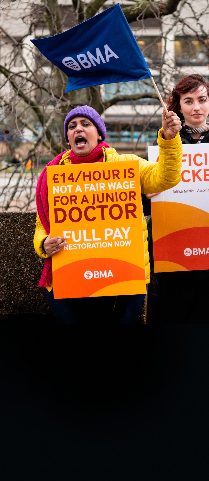 The middle classes are revolting