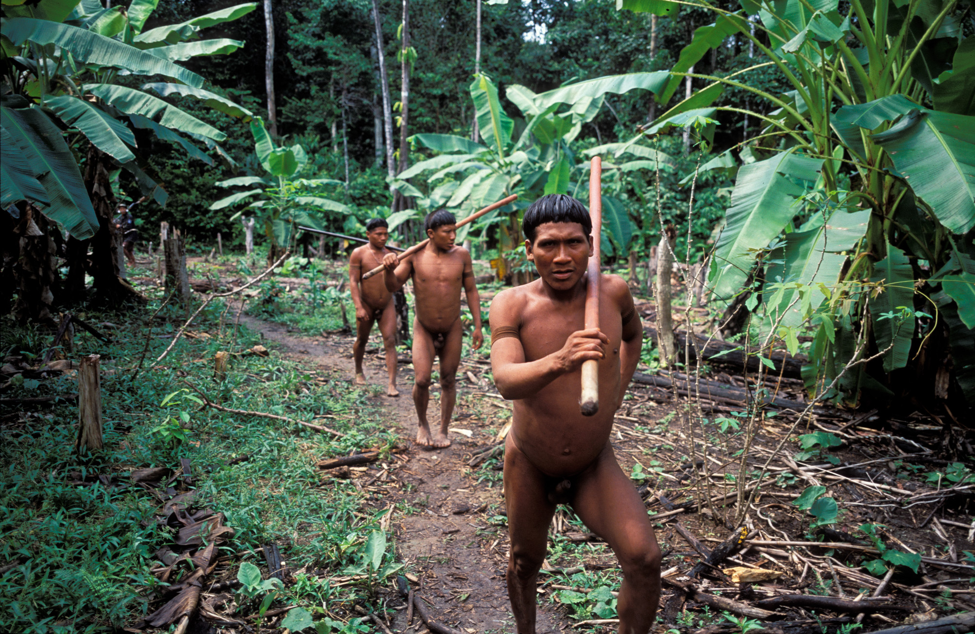 The tribe that time forgot