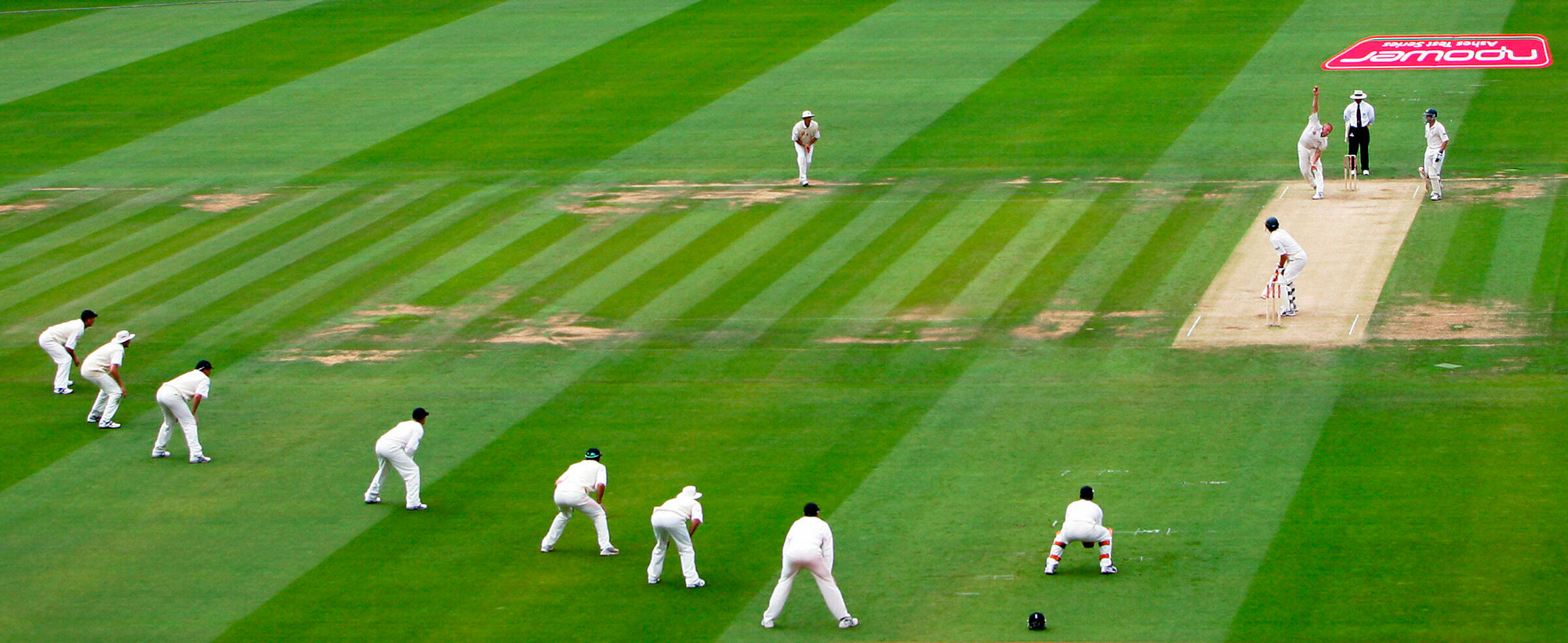 Just not cricket