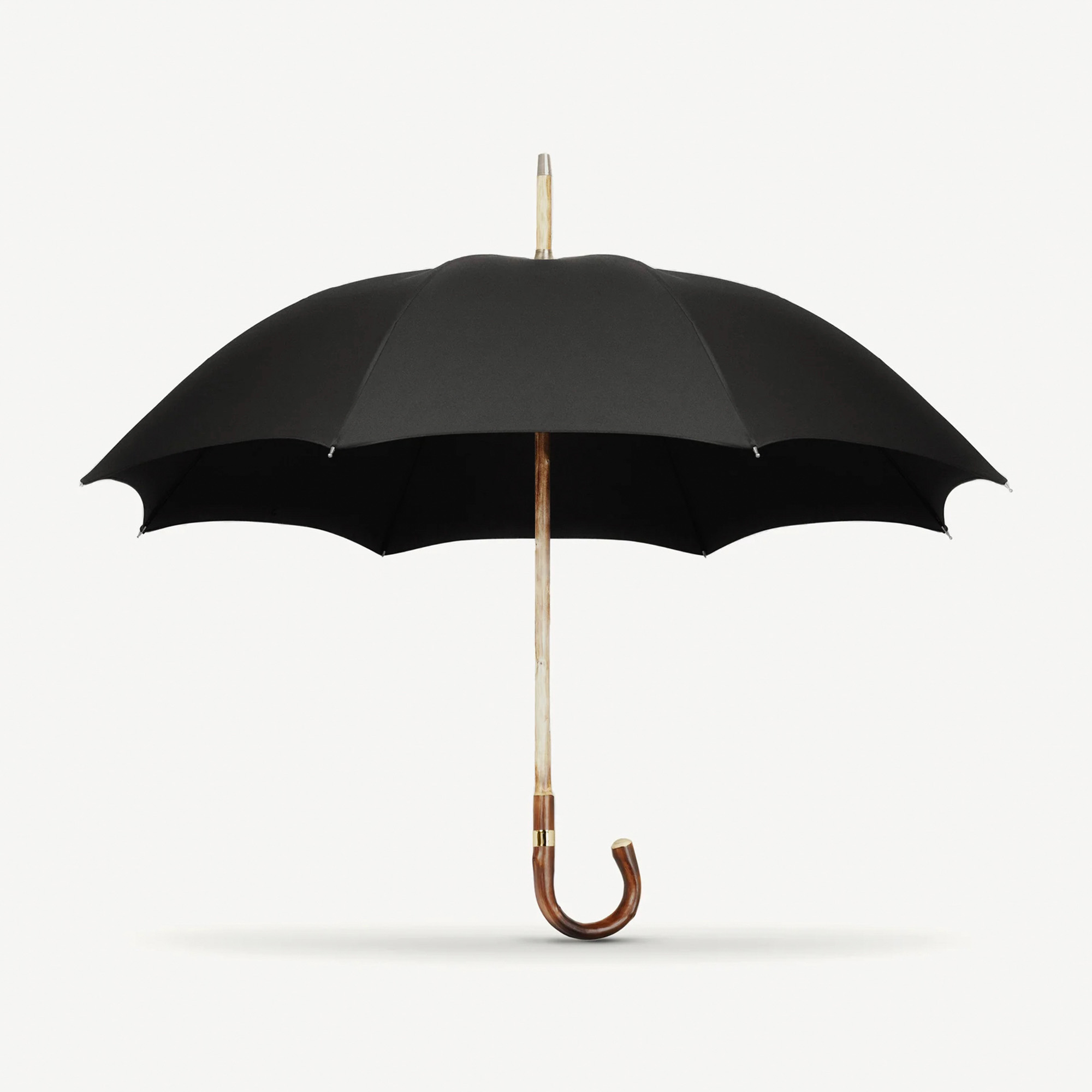 cosmetic-democracy-dr-radomir-tylecote-the-critic-magazine