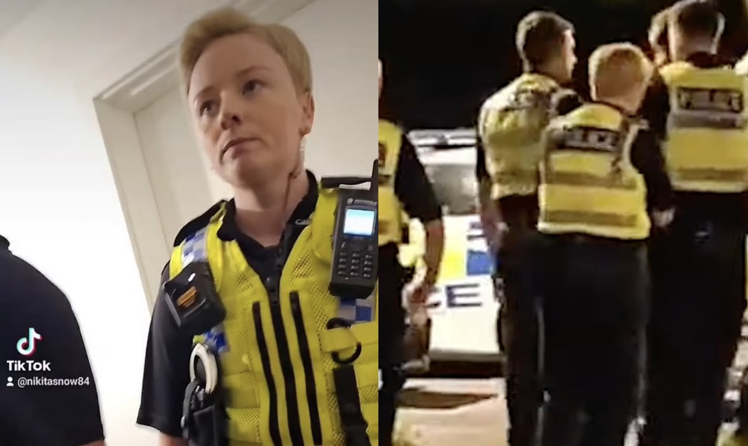 What are the police good for?