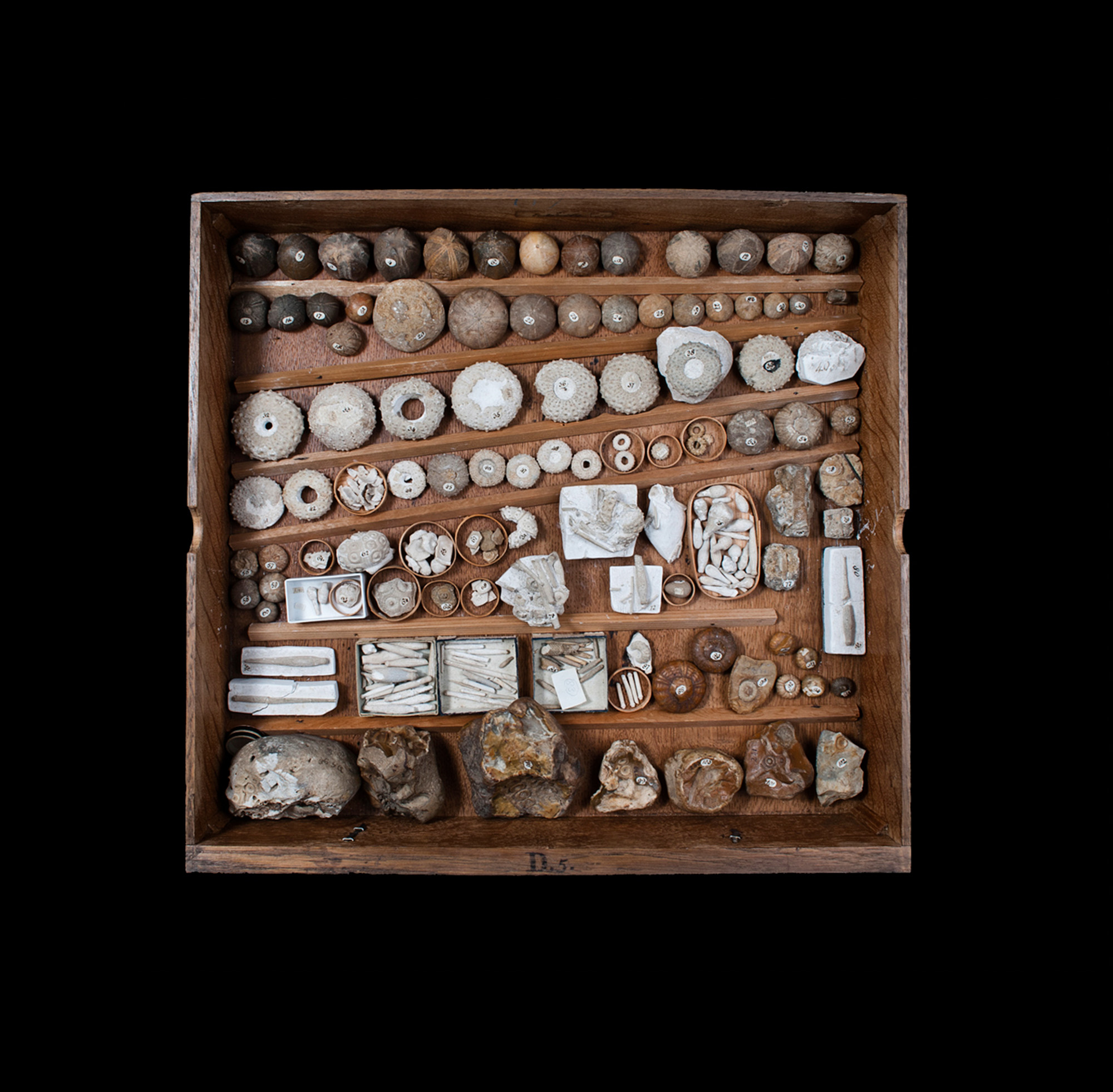 A history of the world set in stone