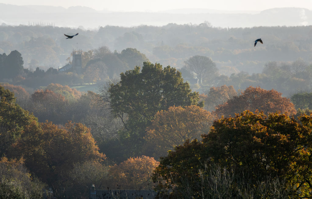 An Ode to Autumn