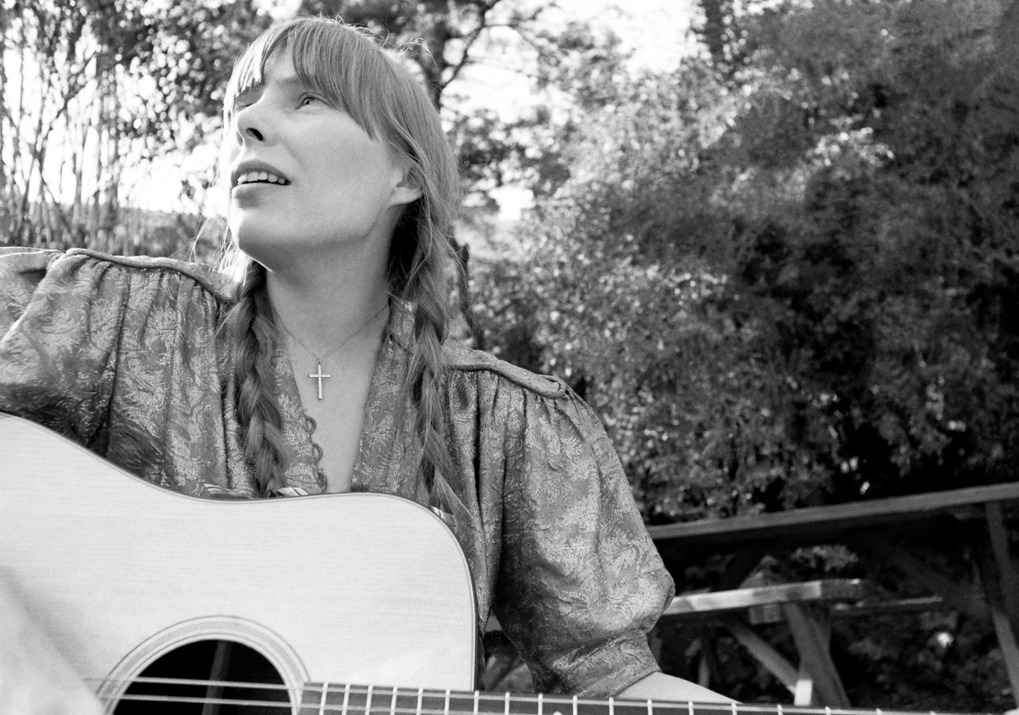 Spare me the Great Canadian Warbler | Michael Henderson | The Critic