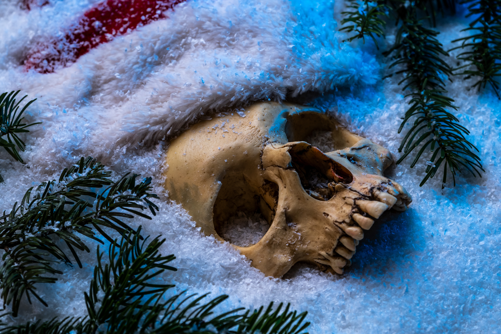 Murders for December
