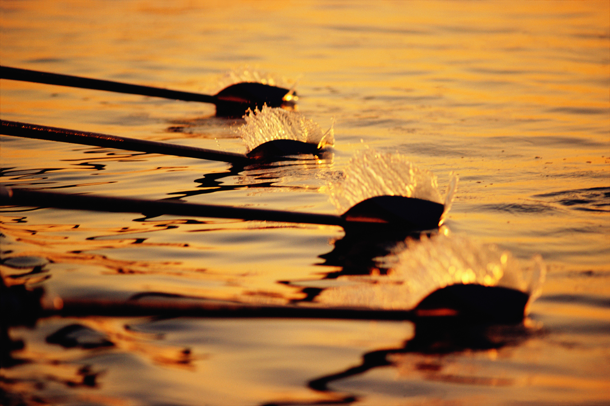 Row, row, row your boat