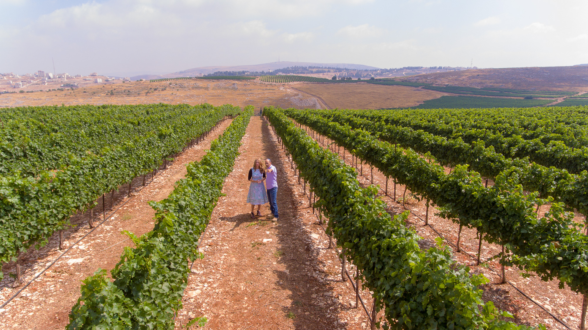 The wines of Israel