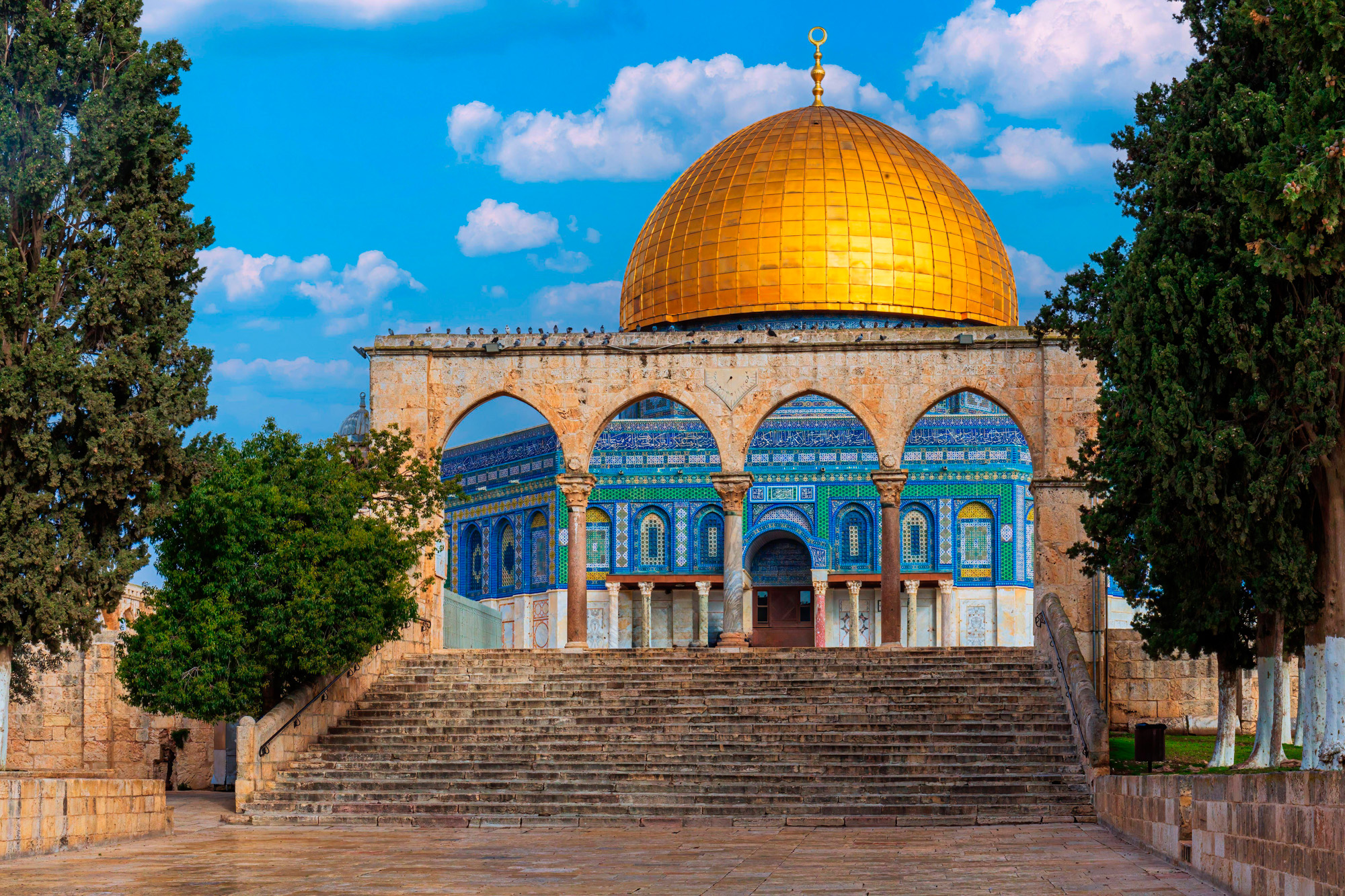Digging the Holy Land&rsquo;s past
